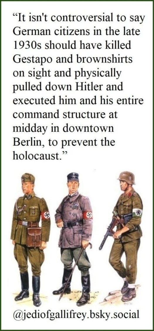 “It isn't controversial to say German citizens in the late 1930s should have killed Gestapo and brownshirts on sight and physically pulled down Hitler and executed him and his entire command structure at midday in downtown Berlin, to prevent the Holocaust.”