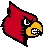 louisvillecardinals