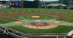 Clemson outfielder commit Dillon Head selected in 2023 MLB Draft