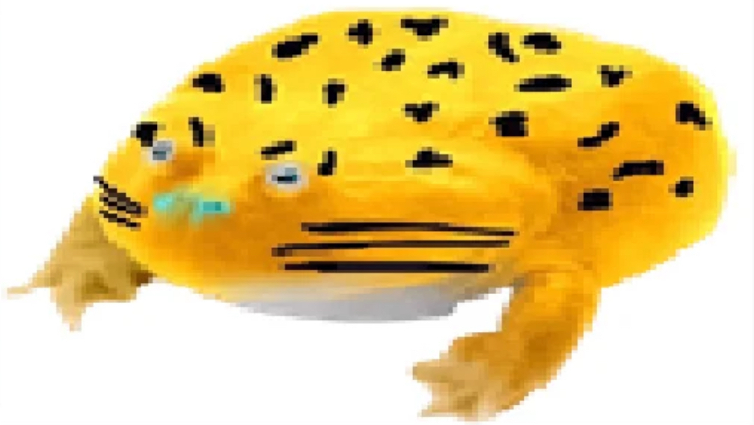 Jaguars Winsday Frog